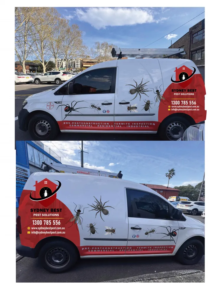 Sydney Best Pest Solutions